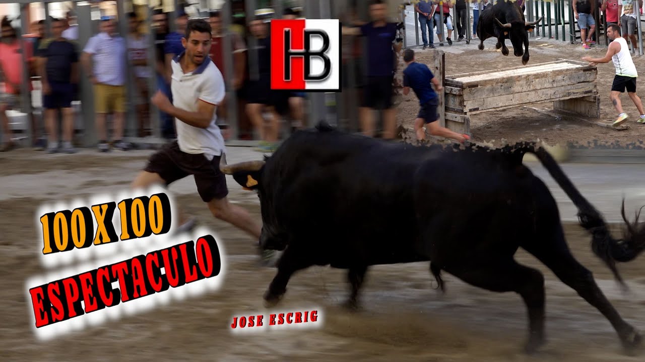 😮‍🔝TOROS CUEVAS DE VINROMA 06/06/2024