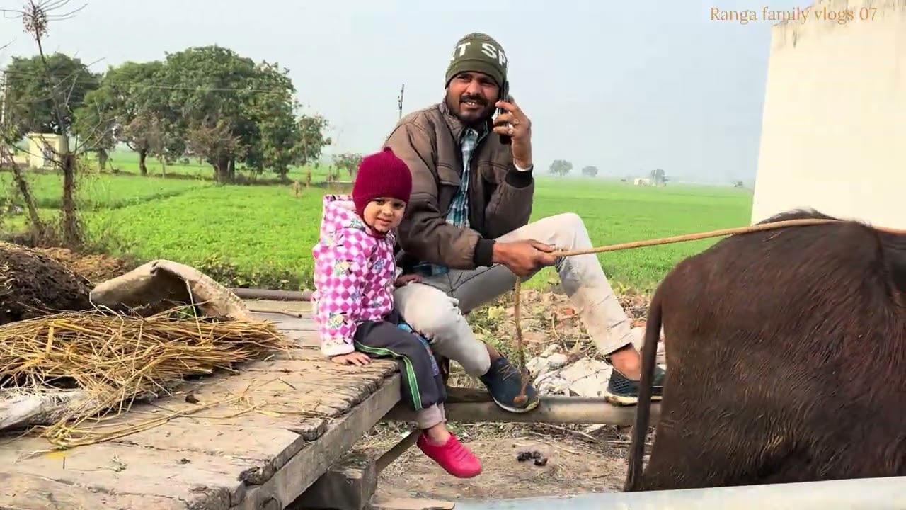 आज की वीडियो मे माने अपने गाव के खेत और टयूबेल दिखाए है | 👍👍😊✌️