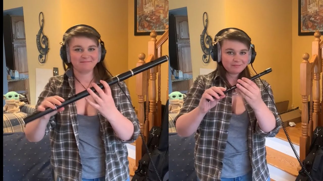 The Lilting Banshee/Saddle the Pony - Irish Flute and Penny Whistle