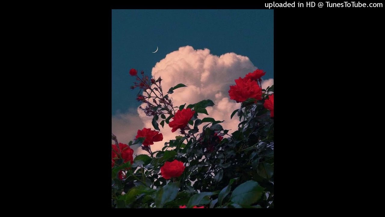 [free] heavenly playboi carti + molly + richie souf type beat 