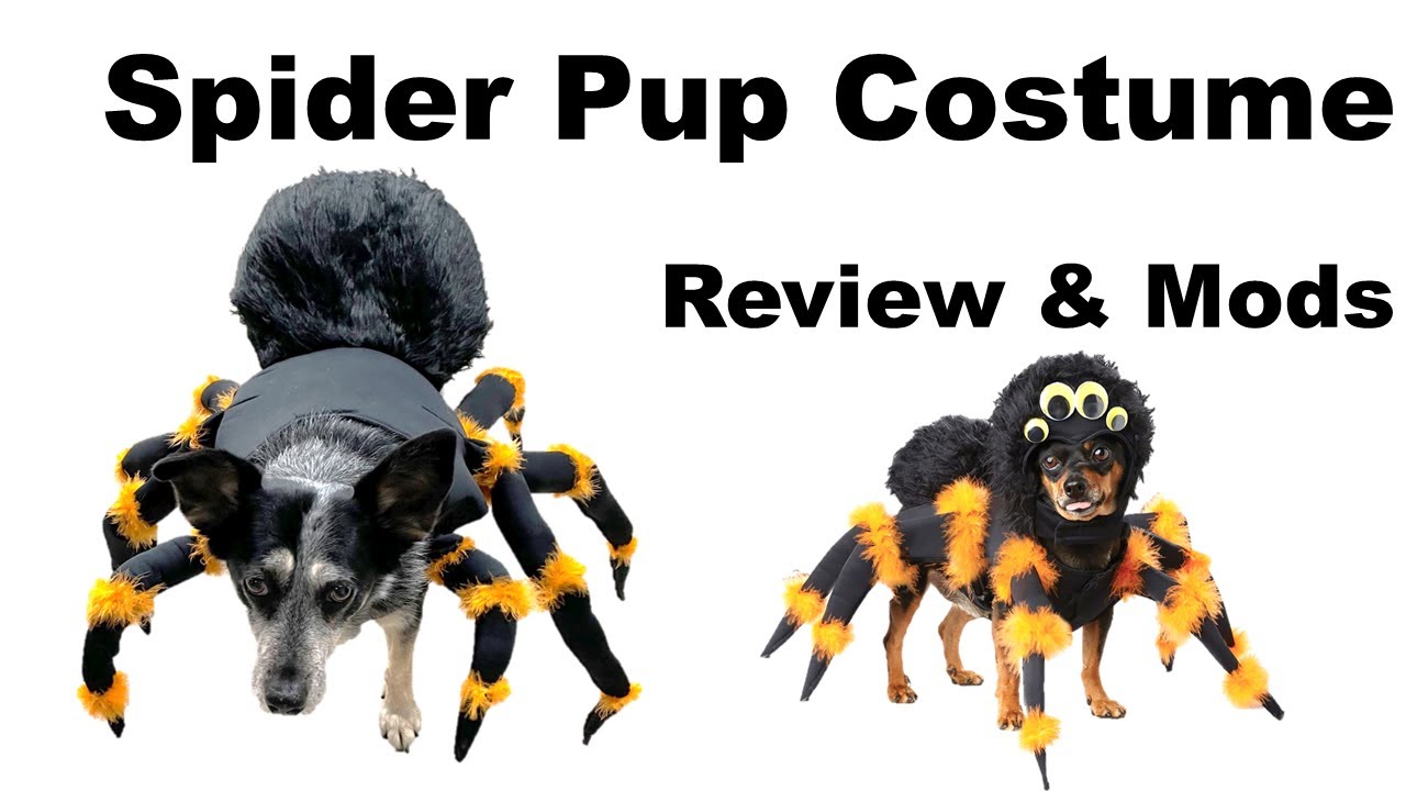Dog Spider Costume - Review & Mods (from Amazon - California Costumes) doggy puppy costume