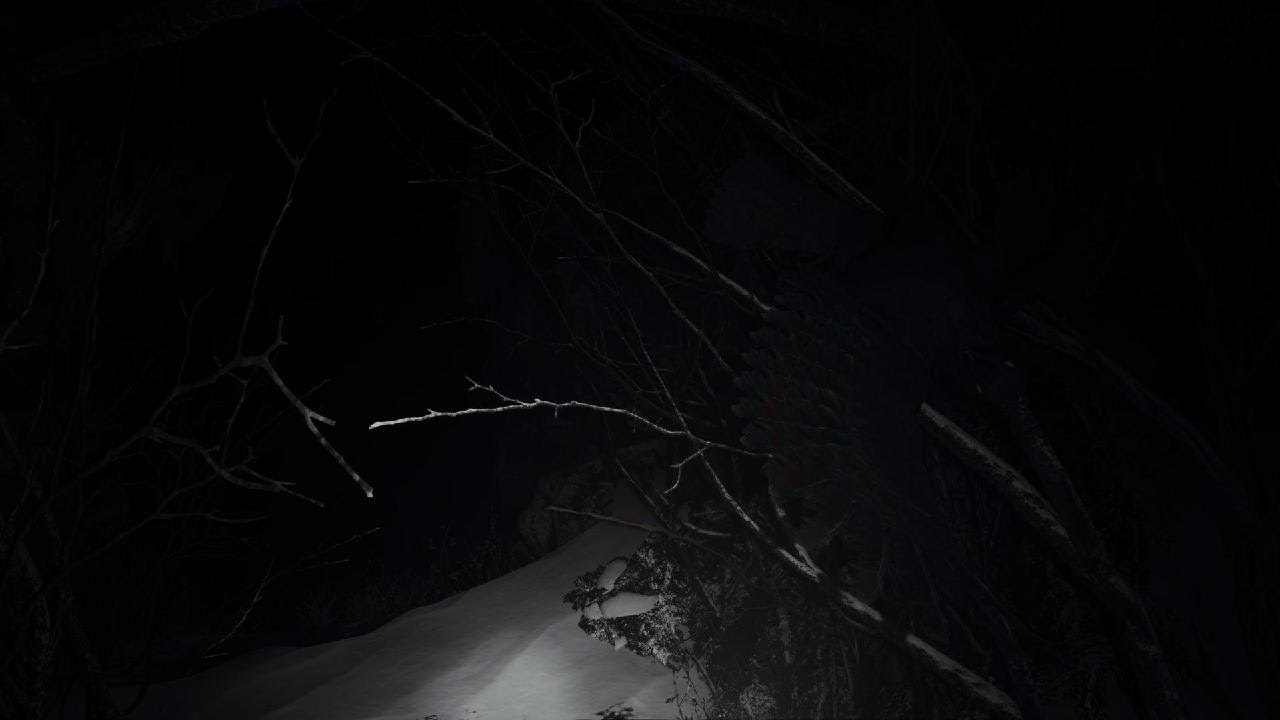 Resident Evil Village Crow