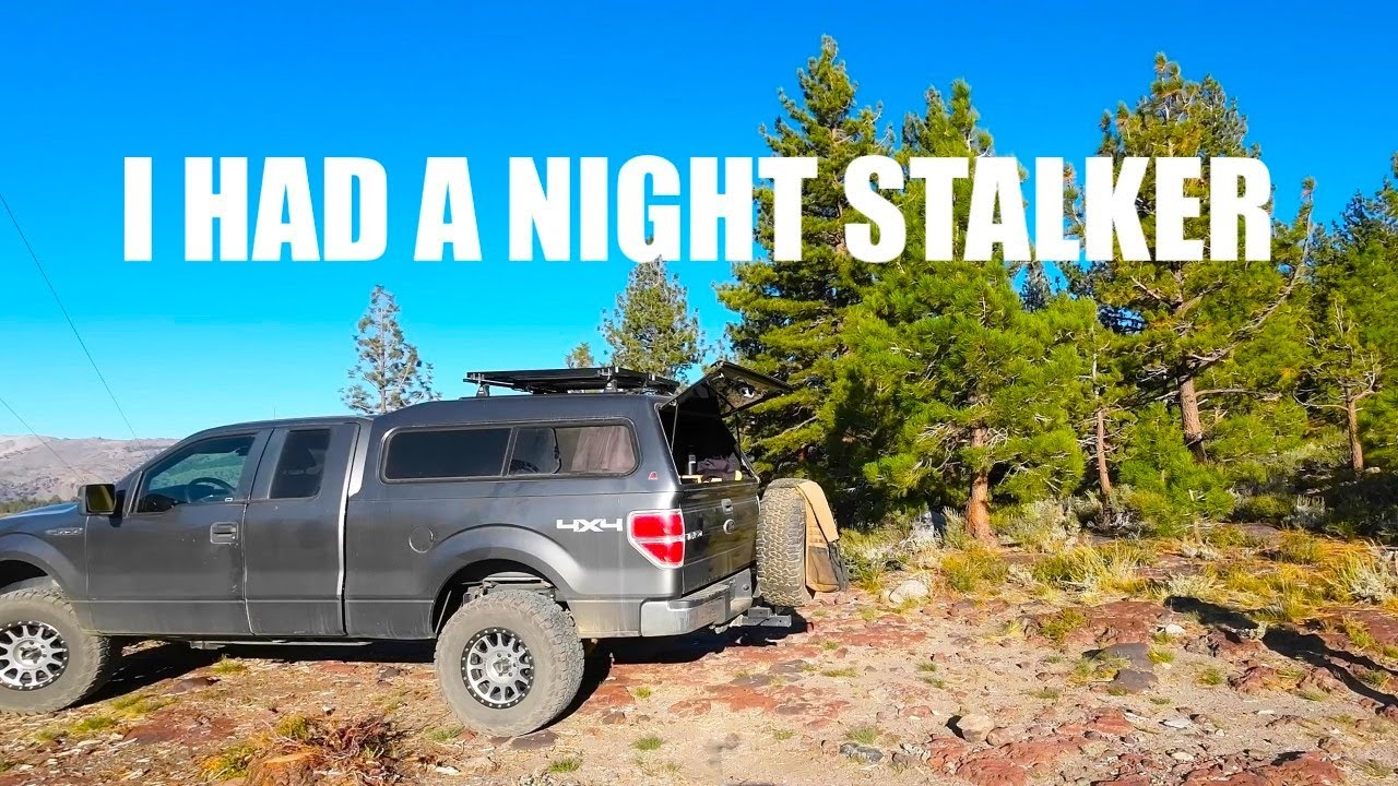 Truck camping at June Lake... and SOMETHING was outside...