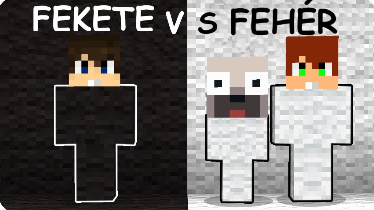 FEKETE VS FEHÉR BÚJÓCSKA KIHÍVÁS A MINECRAFTBAN!