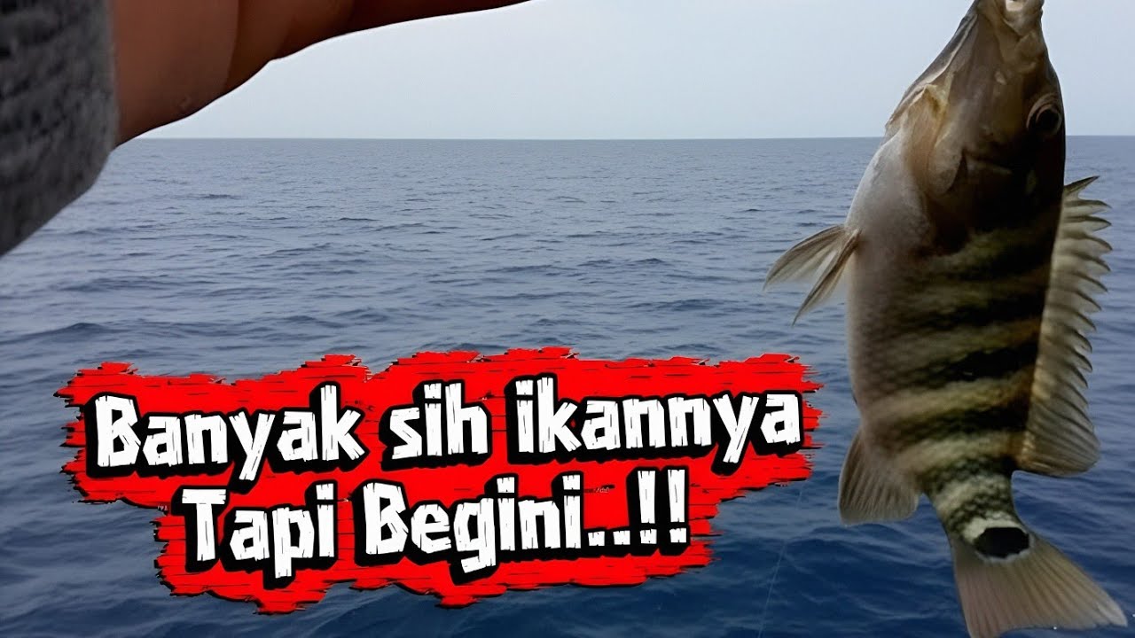 Mancing Dipinggiran..!!