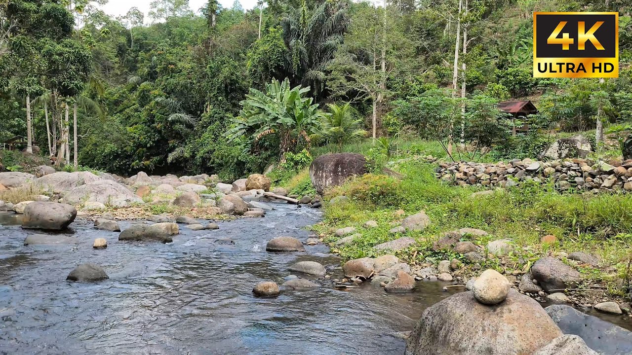 Soothing River Flow Over Rocks | Relaxing Water Sounds for Deep Sleep, Meditation & Stress Relief 💦