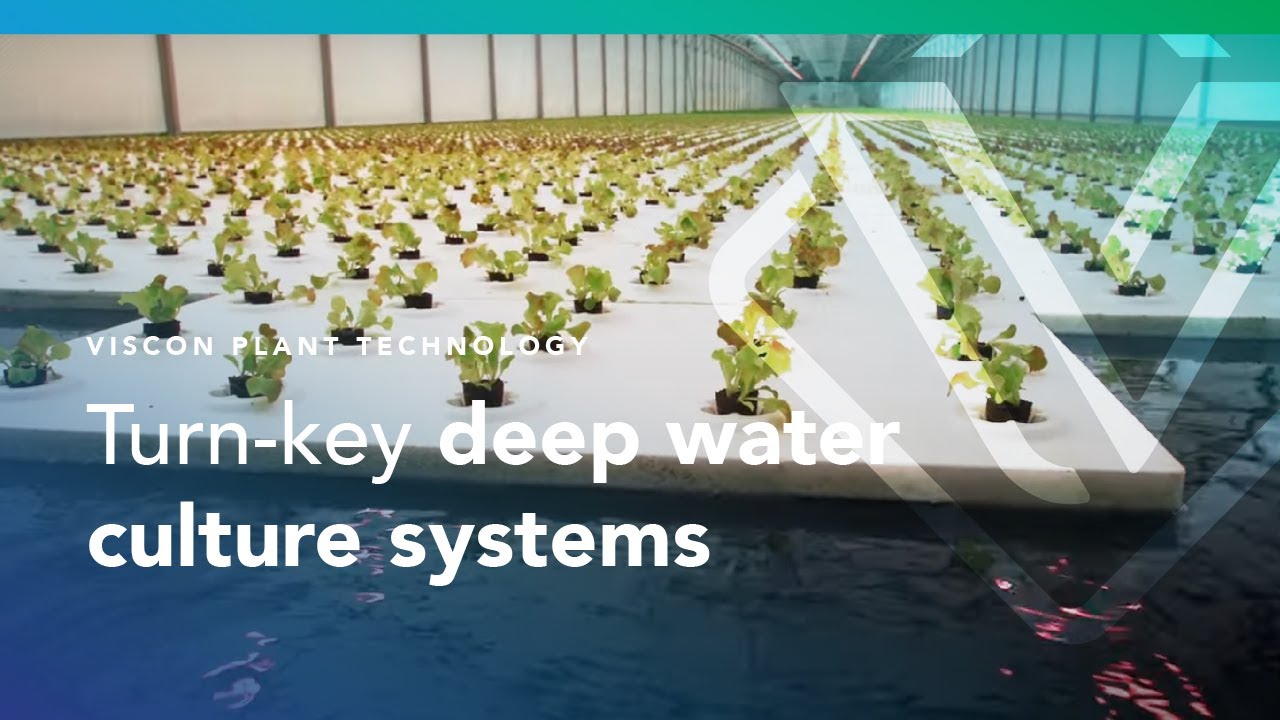 Viscon Hydroponics
