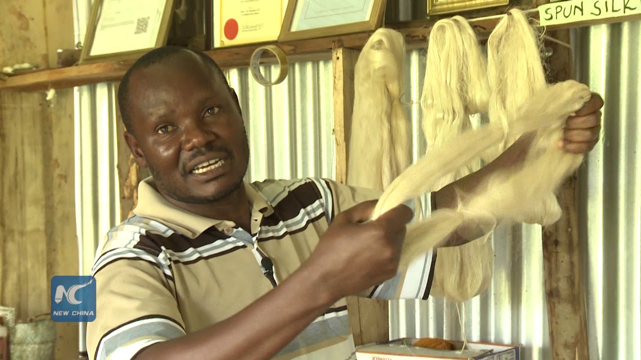 Come to see Kenya's natural silk