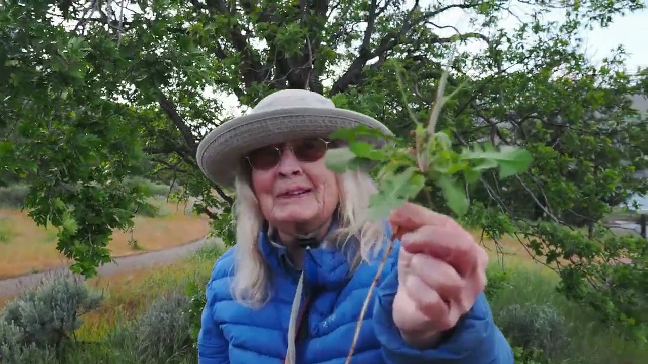 The Wildflower Woman