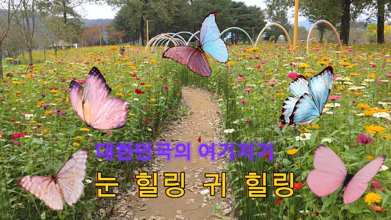 대한민국의 여기저기