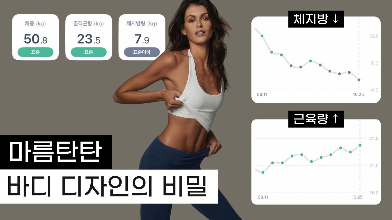 보통에서 마름으로! 체지방은 빠지고 근육은 늘어나는 진짜 루틴 (내가 직접 해본 5단계)