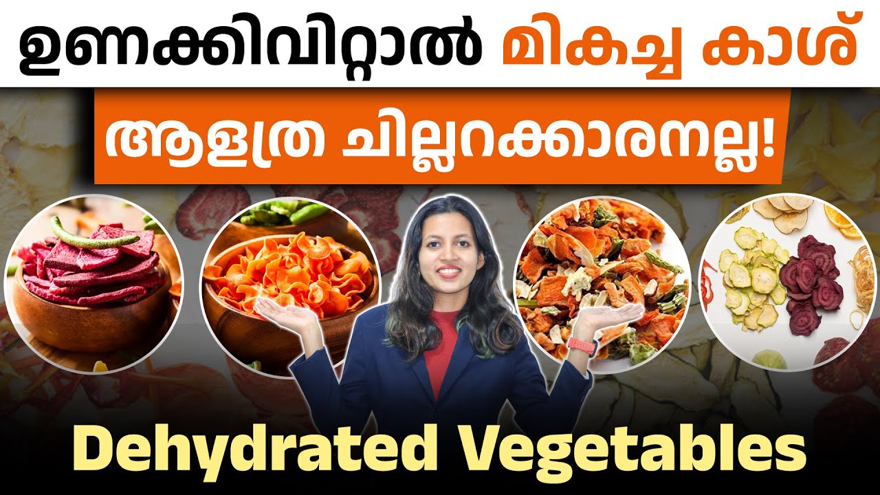 ഉണക്കിയ പച്ചക്കറിയിലൂടെ മികച്ച വരുമാനം ഇനി നിങ്ങൾക്കും നേടാം | Dried Vegetables Business Idea 2025