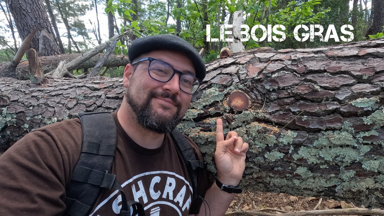 Allume feu naturel : le bois gras 🤠