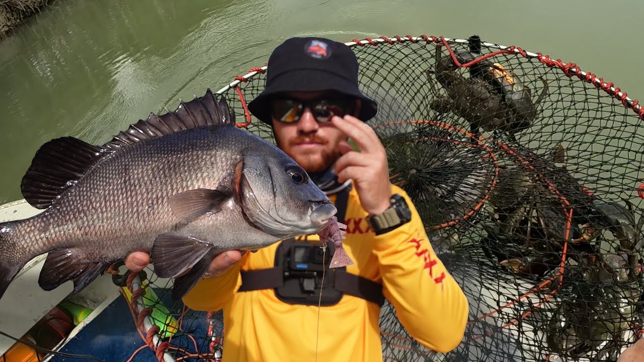 TOWNSVILLE A Day Up The Creek Fishing Lures. BIG CRABBING CATCH