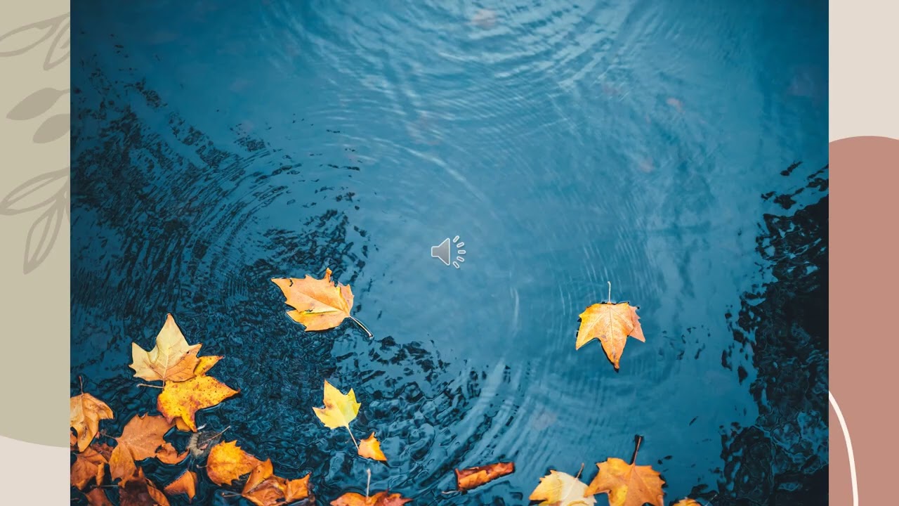 Leaves on a River Mindfulness Exercise
