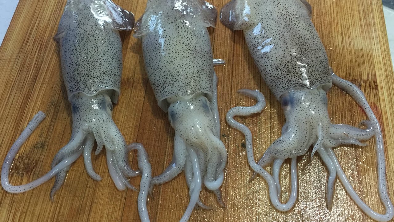 como limpio los calamares