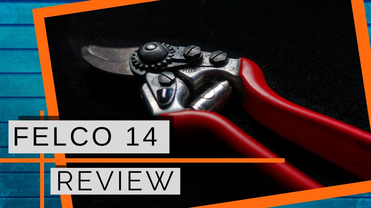 FELCO 14 Full REVIEW: The Best Hand Pruner for Small Hands?
