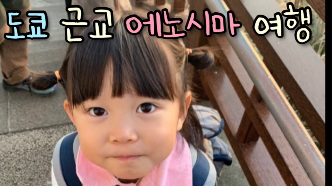 일본 #에노시마 여행중에 만난 야생너구리 😳 | 도쿄맘의 육아 일상 브이로그