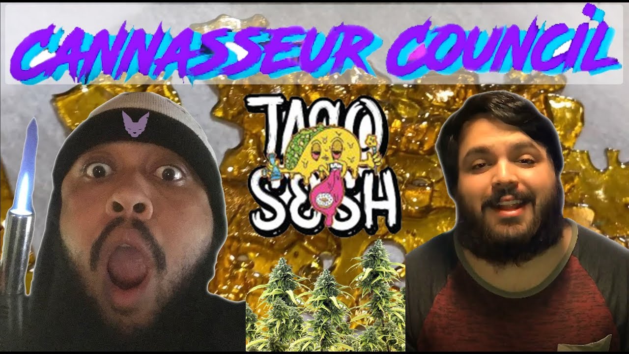 Cannasseur Council @ 🌮 Taco Sesh | Southern California's Cannabis farmers&rsquo; market 4K  🔥💨