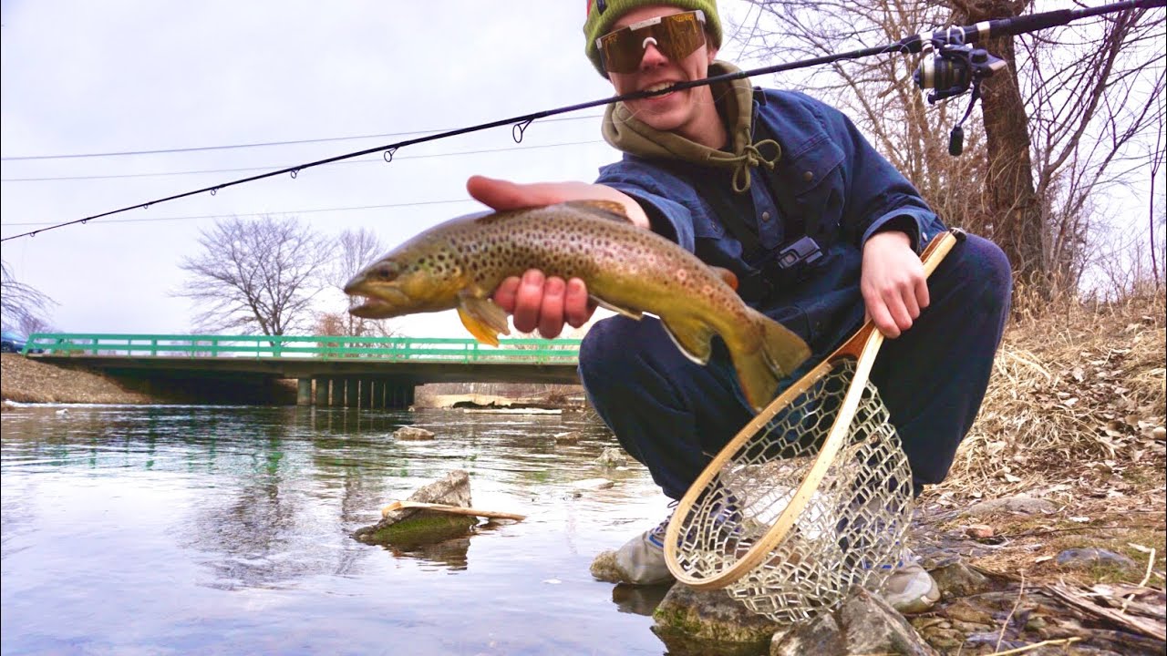 Urban Creek Fishing for BIG Brown Trout!! (My Secret Spot!)