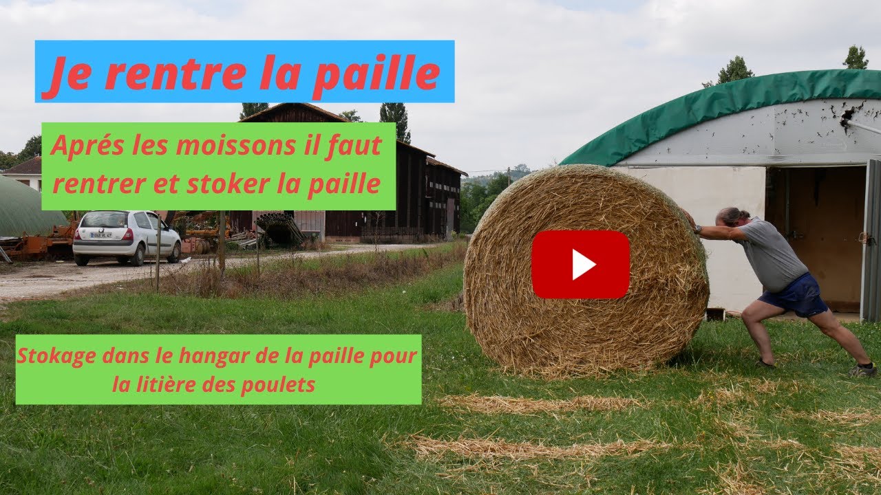 Je rentre la paille [2021]