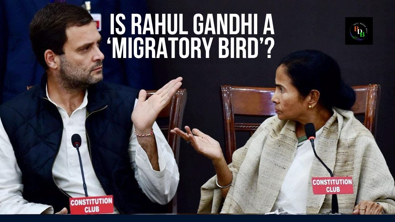 Is Rahul Gandhi a 'migratory bird'? Didi's political jibe.