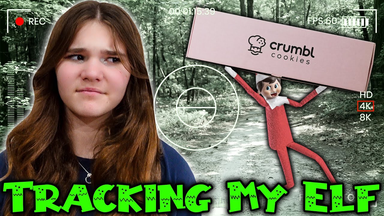 Отслеживаю своего ЭЛЬФА НА ПОЛКЕ!