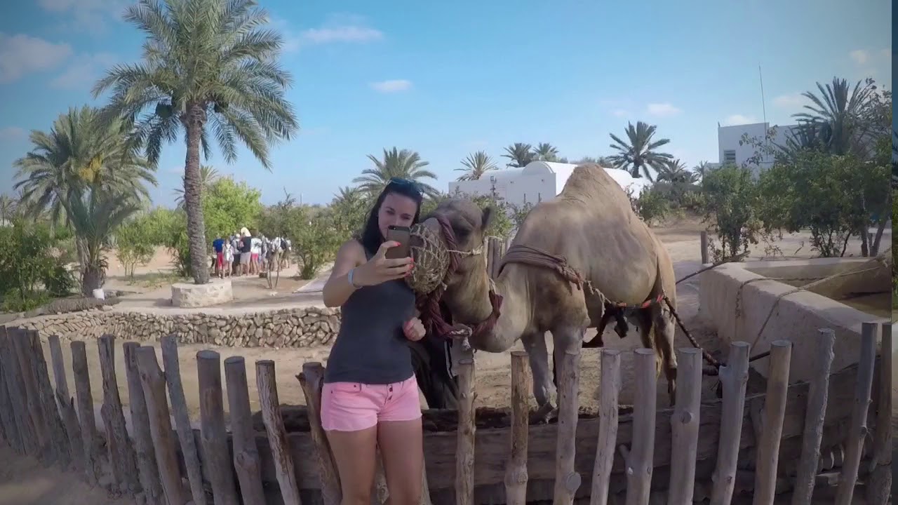 Djerba 2018 - Hotel Palm Azur