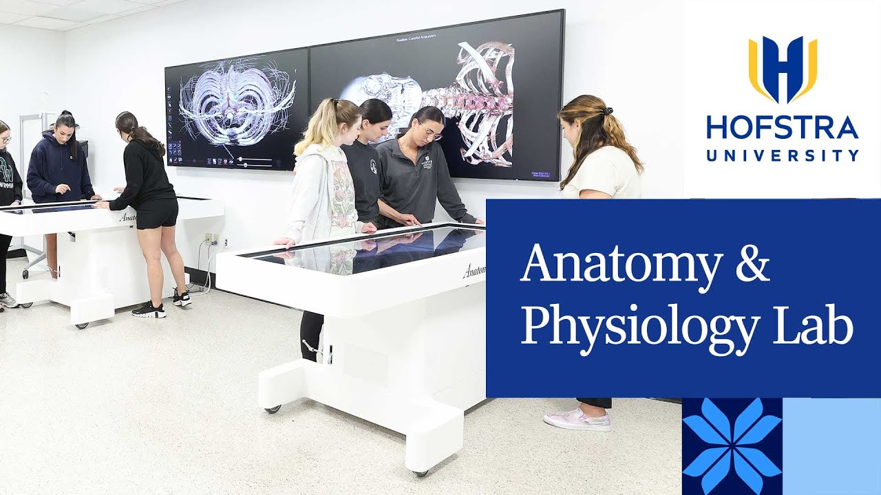 Anatomy & Physiology Lab | School of Health Sciences | Hofstra University