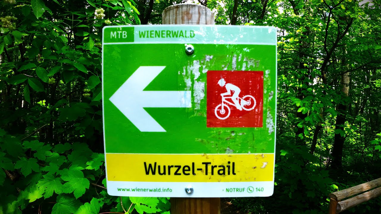 Maxxis High Roller (3) auf den Hometrails pt3: Wurzel-Trail 29.04.25