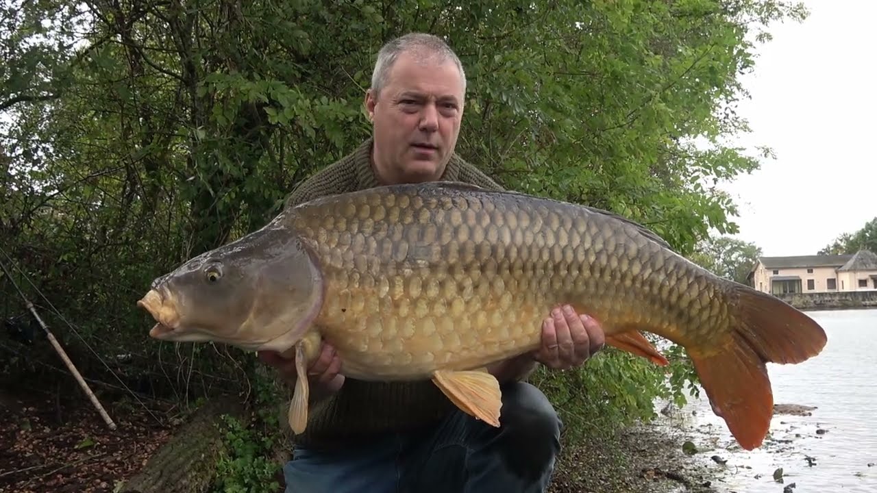 🎣🪝🐟 Richard Lous op karpervisvakantie op betaalwater Cavagnac: 🚣🏻🏕️🌊 75+ karpers tot 21,4kg 🧜🏽🤿 💪🏼