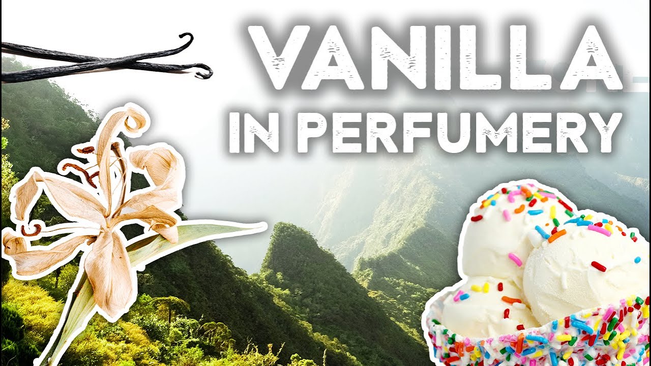 Vanilla in perfumery - COMPLETE GUIDE (Natural & Synthetic)