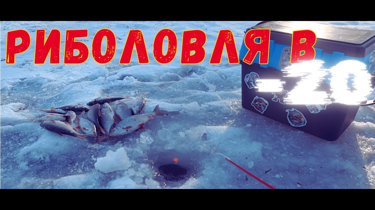 🐟🐟Мотиль - Плітка  все як треба!  🧊🧊Риболовля у мінус 20.🥶🥶