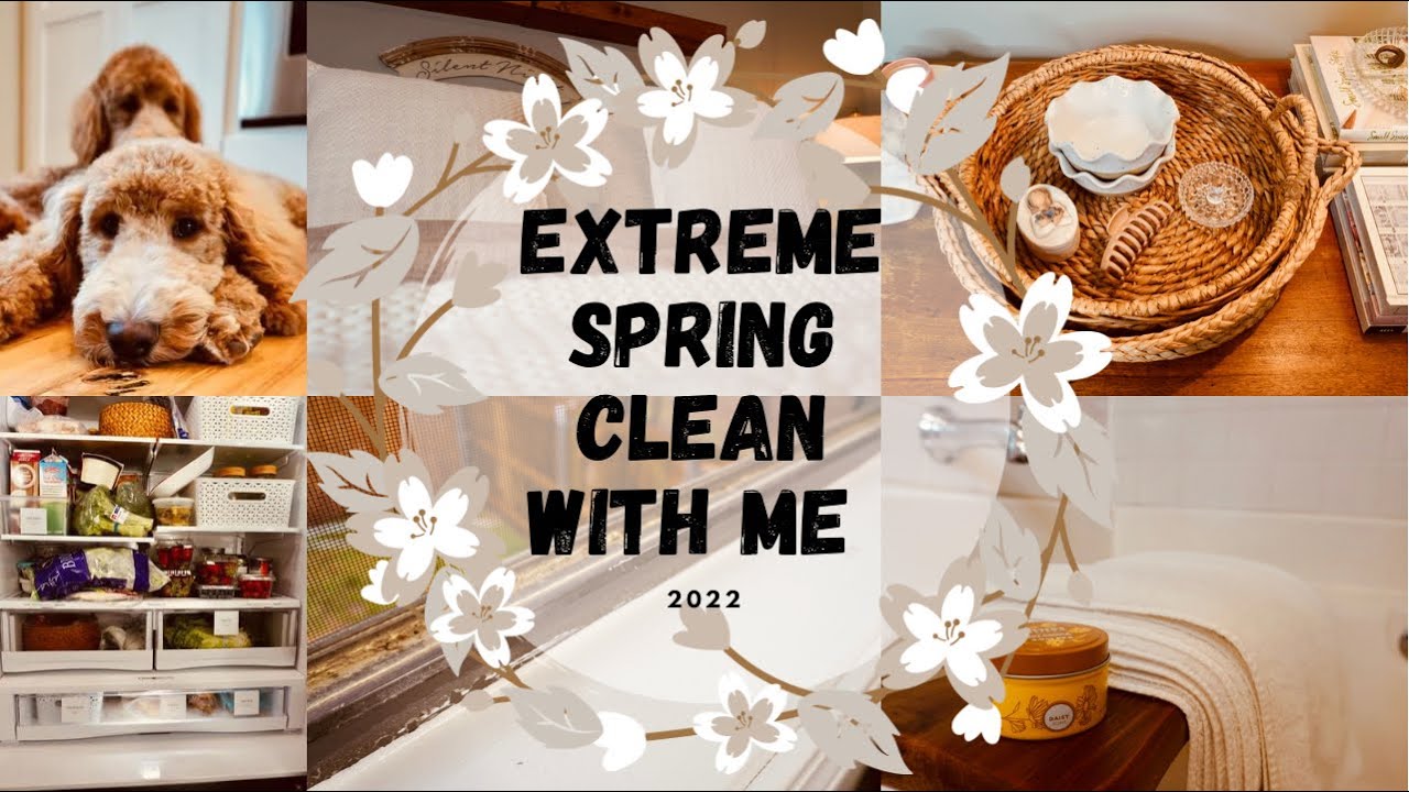 EXTREME SPRING CLEAN WITH ME 2022