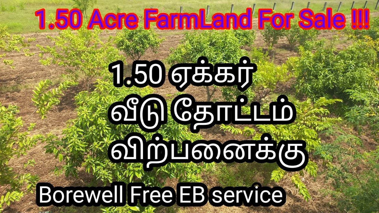 🌴1.50 ஏக்கர் பண்ணை நிலம் விற்பனைக்கு🪴🚜1.50 Acre Farmhouse For Sale❤️ #farmland #trending #lowbudget