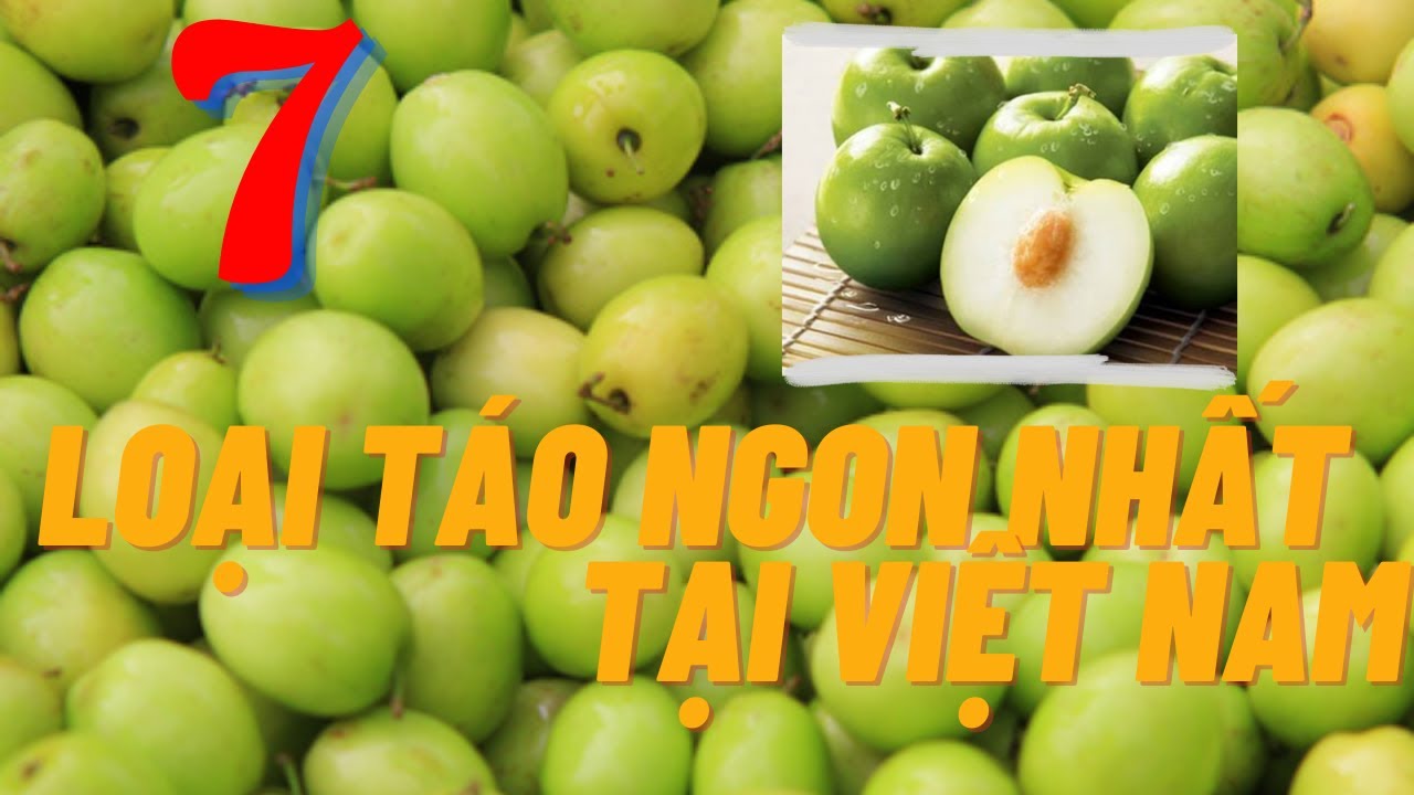 Top 7 quả táo ngon nhất tại Việt Nam - quả táo|Cây Xanh Ngọc Trang|
