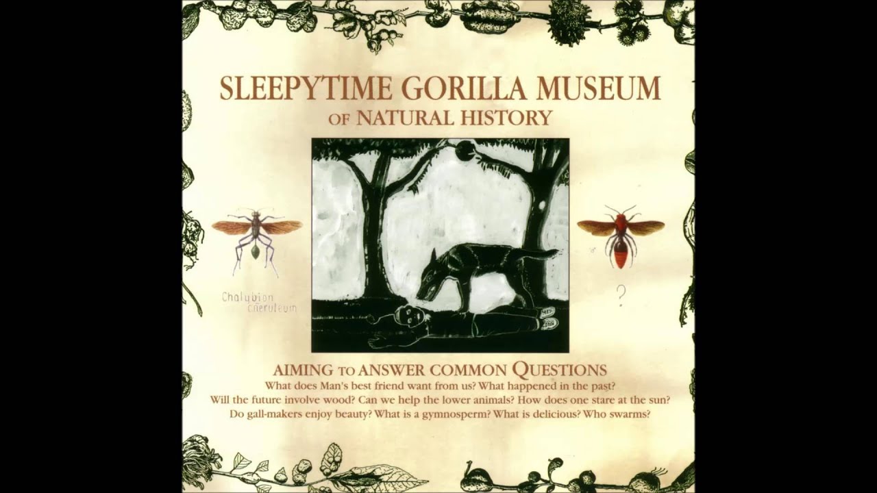Sleepytime Gorilla Museum - Phthisis