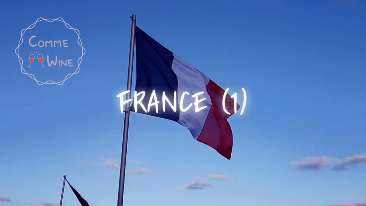프랑스 와인 French wine (1) | 와인 생산 지역 이야기 | 와인 기초 | 와인공부