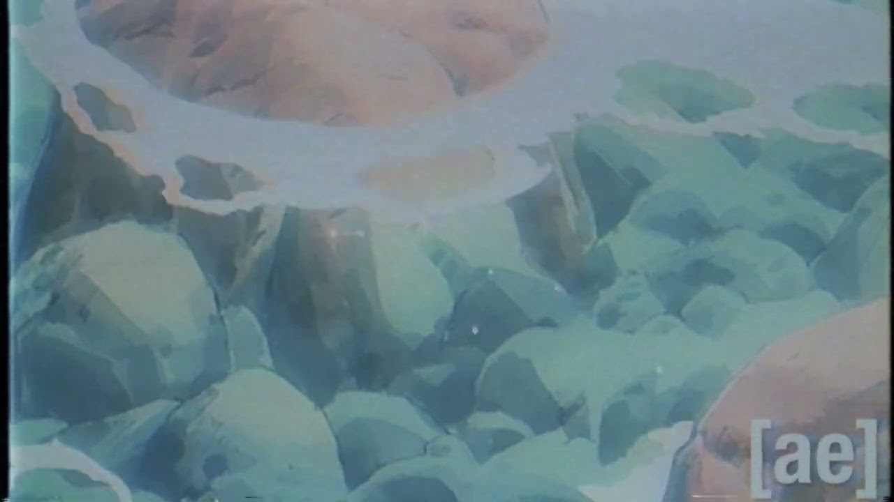 Adultswim Bump -  Rios