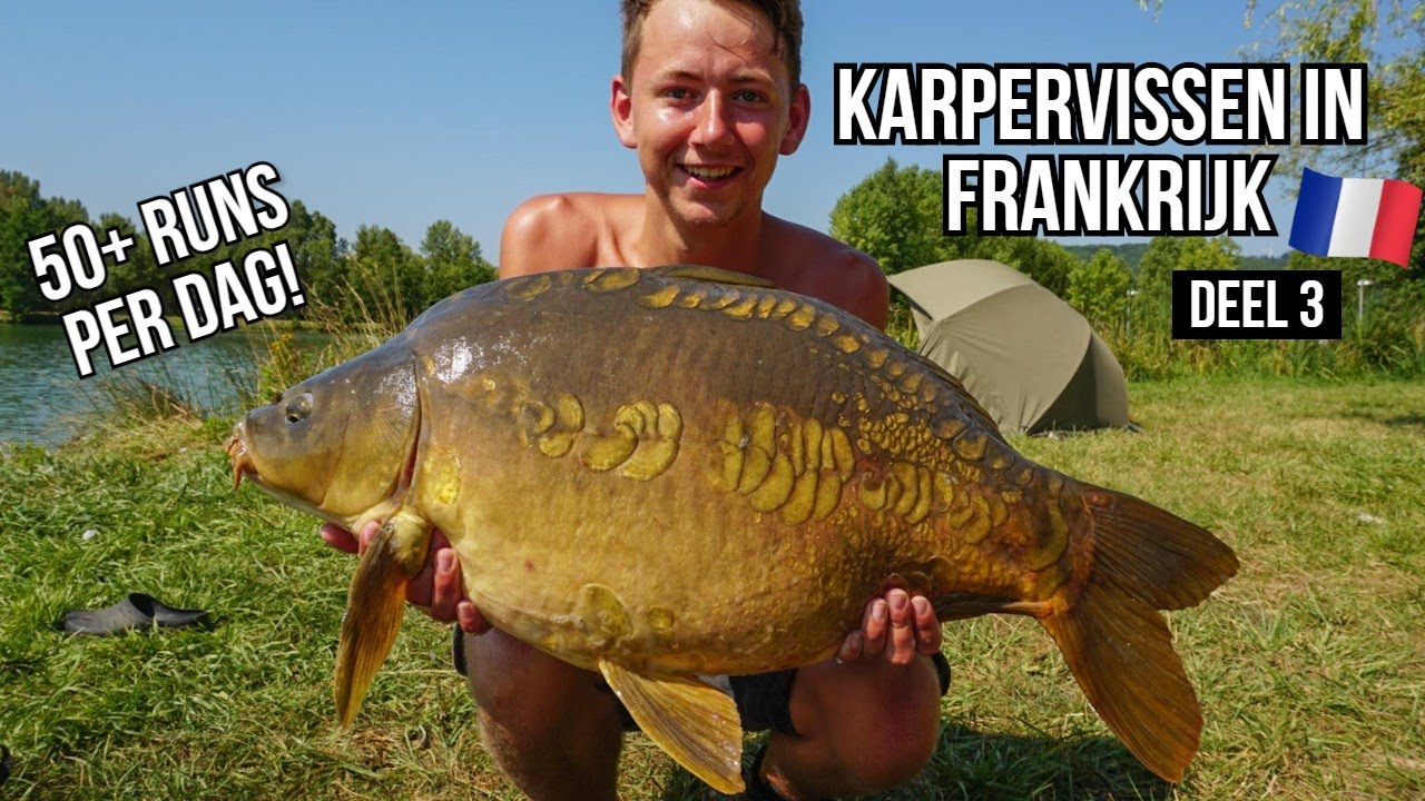 Karpervissen in Frankrijk 2020 - Nieuw RECORD, 50+ runs per dag ! Deel 3 l DWFishingteam