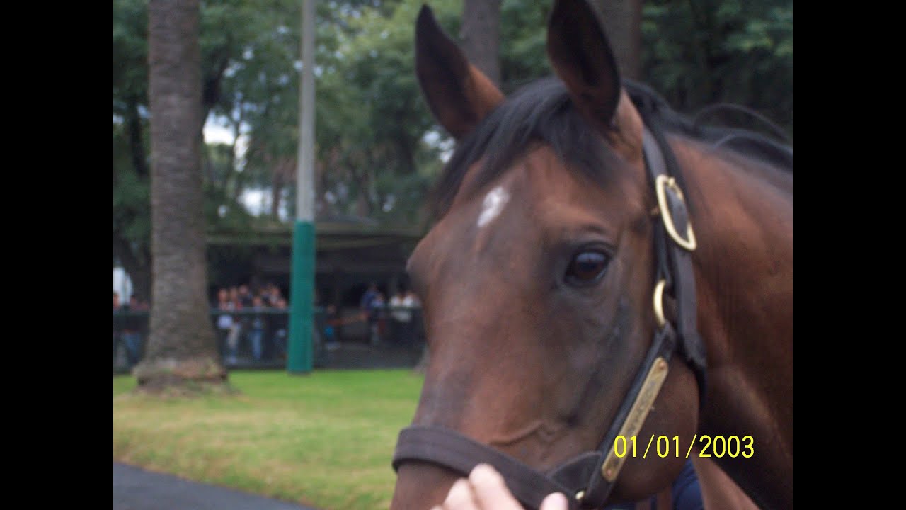 Invasor en Uruguay, Hipodromo Nacional de Maroñas