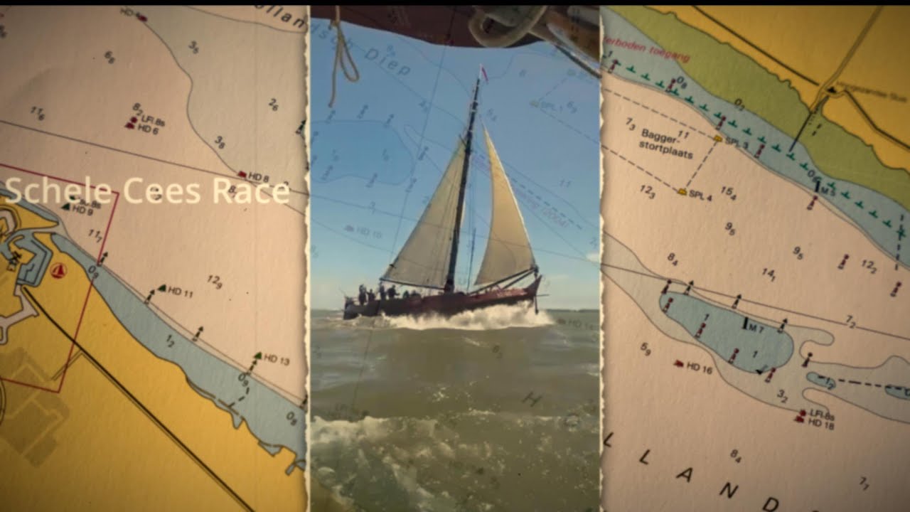 Schele Cees Race