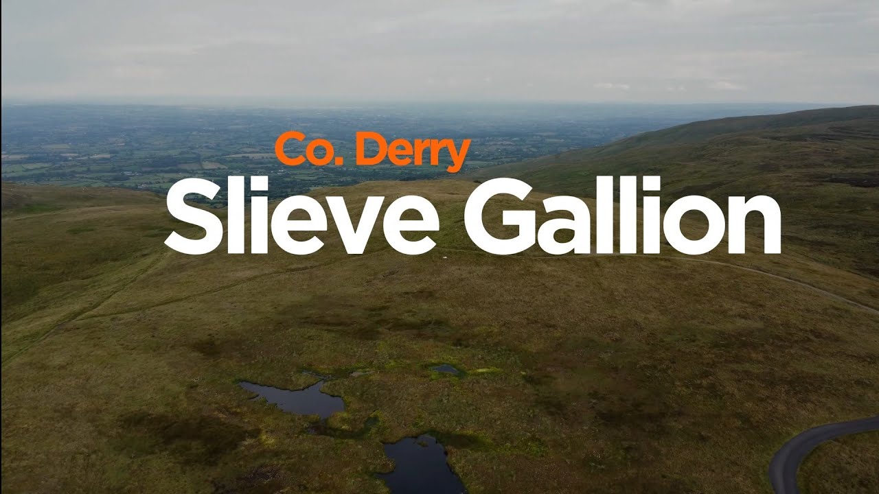 Slieve Gallion