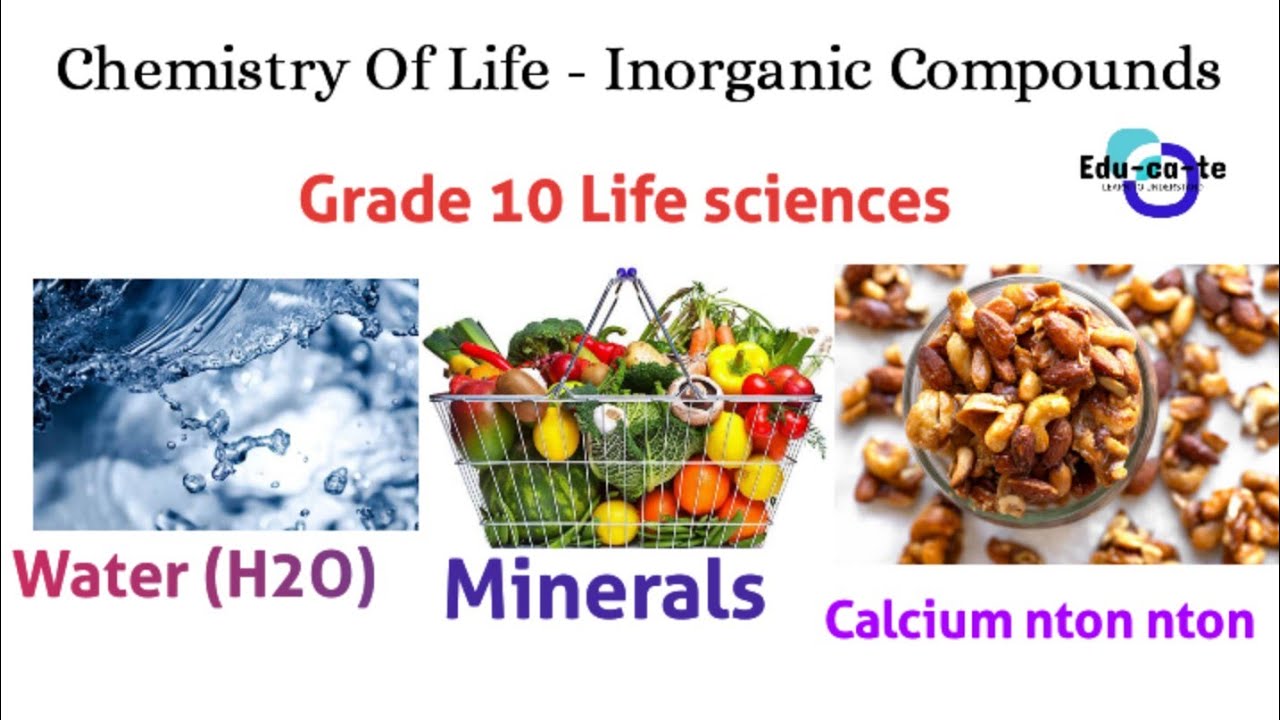 Chemistry of life - Inorganic compunds Grade 10 Life sciences