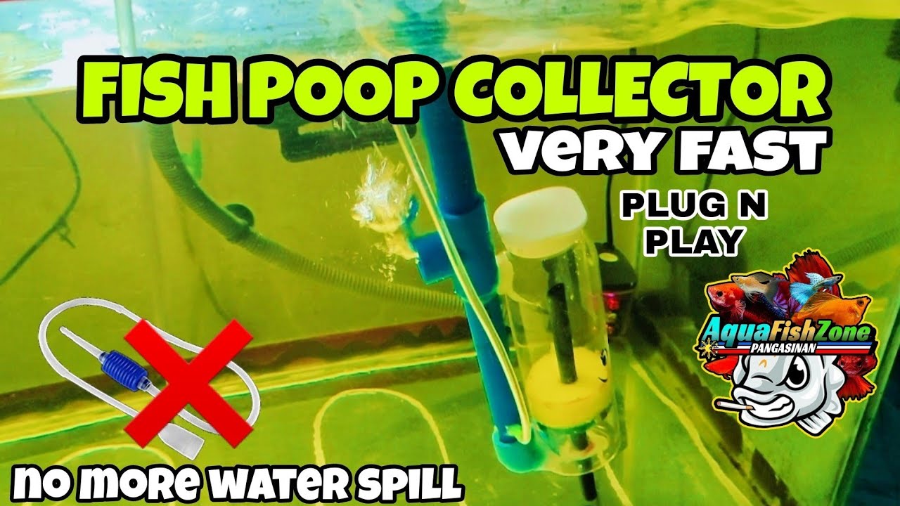 DIY FISH POOP COLLECTOR SIPHON, NO MORE WATER SPILL..NEED AERATOR PUMP..🎏🇵🇭