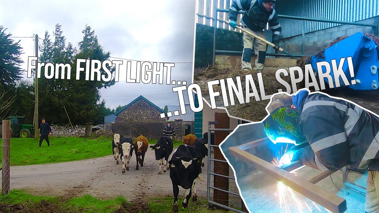 A Day of Labour, Livestock & Loving What Ya Do ~ Farming In Ireland