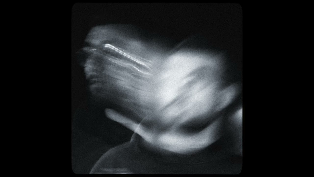 רוזן - שאלות