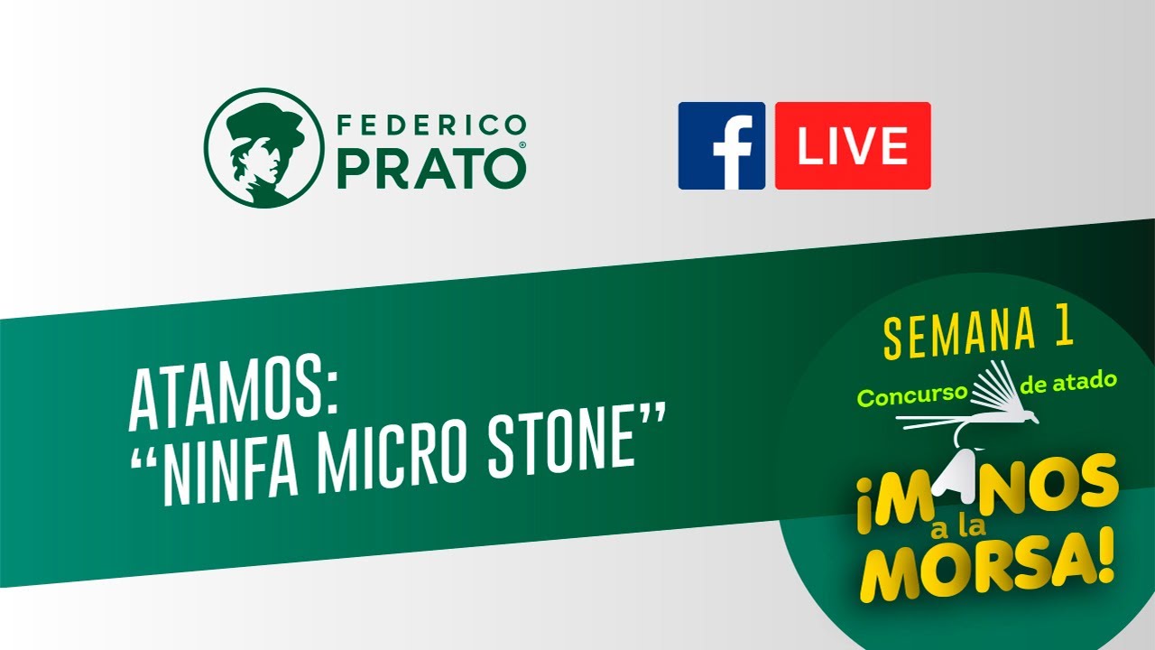 Atamos en vivo: Ninfa Micro Stone, primera mosca del concurso 