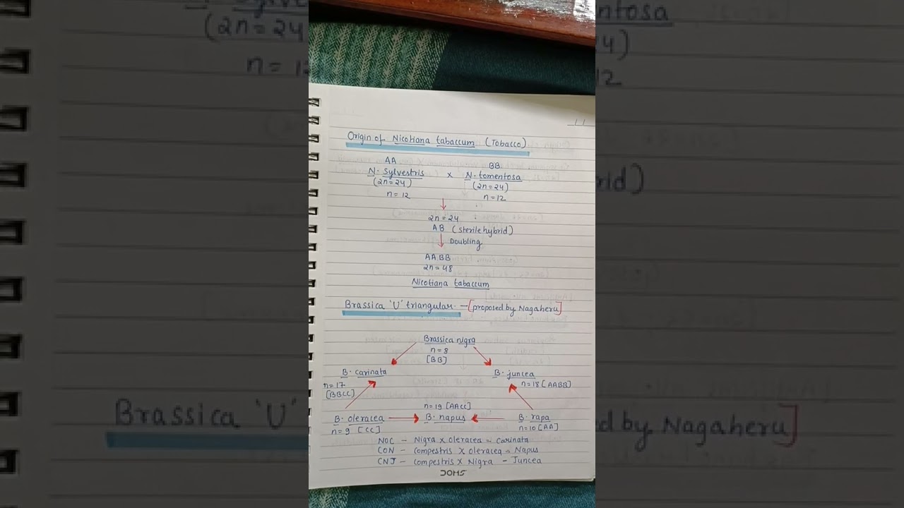 origin of hexaploid wheat/ u triangular/tritical