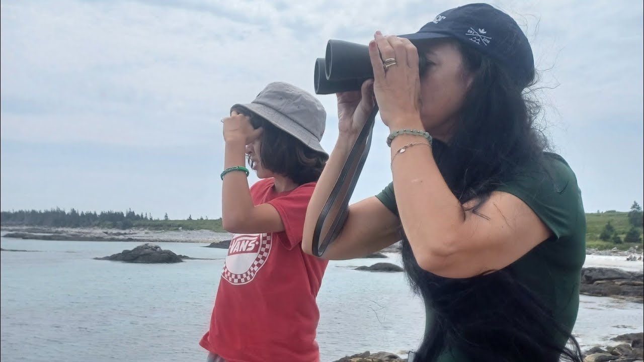 Hiking Kejimkujik Seaside Trail / Kejimkujik Seaside Trail